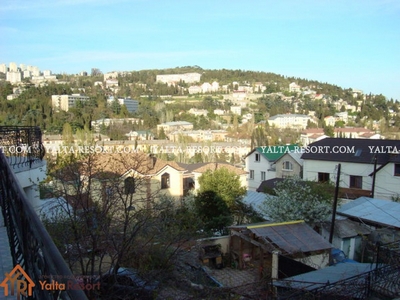 №8