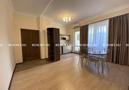Однокомнатный номер с кухней 60м2